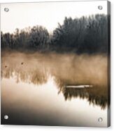 Clouds Of Mist Over The Watershed Of National Park River Danube Wetlands In Austria Acrylic Print