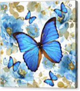 Cobalt Blue Butterflies 2 Acrylic Print