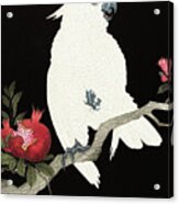 Cockatoo And Pomegranate Acrylic Print