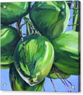 Coconuts In A Palm Tree Acrylic Print