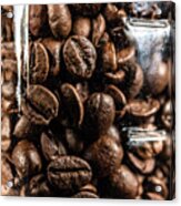 Coffee Beans No. 1 Acrylic Print