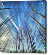 Cold Winter Sky Acrylic Print