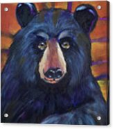 Colorful Black Bear Acrylic Print