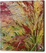 Colorful Blades Of Grass Acrylic Print