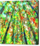 Colorful Forest #4 Acrylic Print