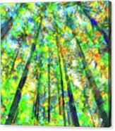 Colorful Forest #5 Acrylic Print