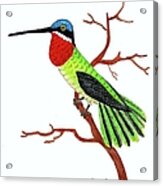 Colorful Hummingbird Day 4 Challenge Acrylic Print