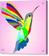 Colorful Hummingbird Design Acrylic Print