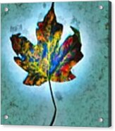 Colorful Leaf Acrylic Print