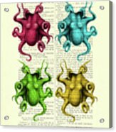 Colorful Octopus Chart Acrylic Print