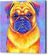 Colorful Rainbow Pug Dog Portrait Acrylic Print