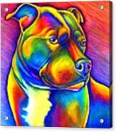 Colorful Rainbow Staffordshire Bull Terrier Dog Acrylic Print