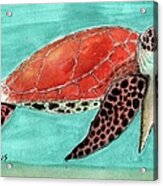 Colorful Sea Turtle In Blue Green Water Acrylic Print