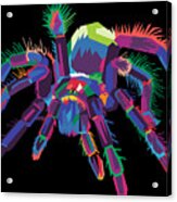 Colorful Spider Pop Art Tarantula Acrylic Print