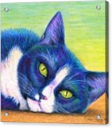 Colorful Tuxedo Cat Acrylic Print