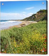 Colorful Wildflower Cove By Mike-hope Acrylic Print