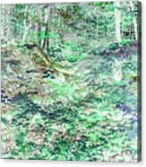 Shades Of Green Woodlands Acrylic Print
