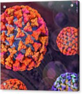 Coronavirus Particles On Cell Background Acrylic Print