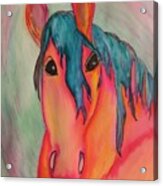 Cosmic Horse Acrylic Print
