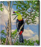 Costa Rica Color Acrylic Print