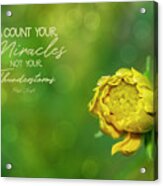 Count Your Miracles Acrylic Print