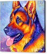 Courageous Partner - Colorful German Shepherd Dog Acrylic Print