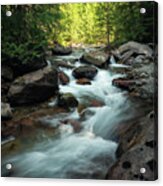 Creek In The Forest Acrylic Print