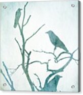 Crow Birds On Tree Bird 93 Acrylic Print