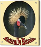 Crowned Crane - Naturally Blonde - Transparent Acrylic Print