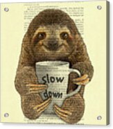 Cute Baby Sloth With Coffee Mug Slow Down Quote Acrylic Print