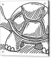 Cute Cartoon Turtle Drawing Drawing by Frank Ramspott - Fine Art America