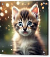 Cute Kitten Portrait. Acrylic Print
