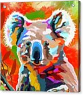 Cute Koala Acrylic Print