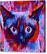 Cute Siamese Cat Head In Blue And Violet - Digital Painting Acrylic Print