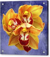 Cymbidium Orchids Acrylic Print