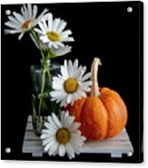 Daisies And Pumpkin Acrylic Print