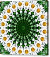 Daisy Chain Mandala Kaleidoscope Medallion Flower Acrylic Print
