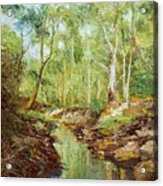 Darebin Creek Crossing At Alphington East Of Melbourne Acrylic Print