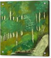 Darken Woods Painting # 247 Acrylic Print