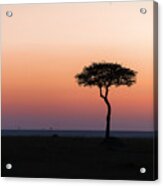 Dawn In The Mara 02 Acrylic Print