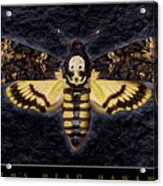 Deaths Head Hawk Moth Framed Version Acrylic Print