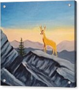 Deer On Grandfather Mountain Acrylic Print