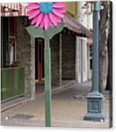 Delightful Street In San Antonio Texas Acrylic Print