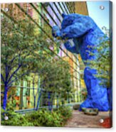 Denver Colorado Blue Bear At Convention Center Acrylic Print