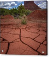 Desert Drought Acrylic Print
