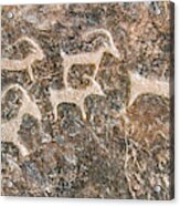 Desert Petroglyphs Acrylic Print