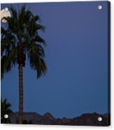 Desert Snow Full Moon Rise, Palm Tree Silhouette Acrylic Print