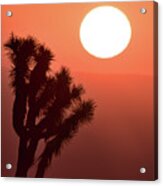 Desert Sunrise Acrylic Print