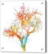 Design 169 Multicolor Tree Acrylic Print