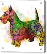 Dog 149 Fox Terrier Acrylic Print